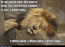 ic_8da13e0e3e82655cb02b0b0586a5eae9