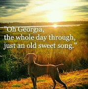 abc5c7b1fa267b187c01f17404144d74